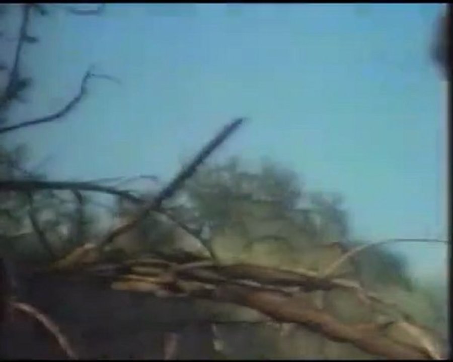 Der Teufel tanzt weiter