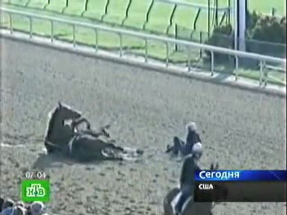 Accident un cheval fonce droit sur un autre cheval