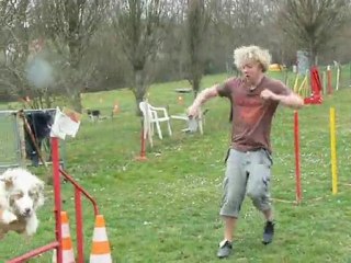 Futur champion et vrai champion d'agility