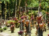 Madinina - une île plein de charme et de beauté !!.