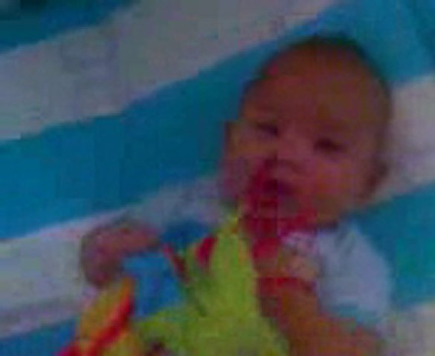 Baby Icad Menyerang Hp