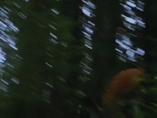 The Twilight Saga - Eclipse