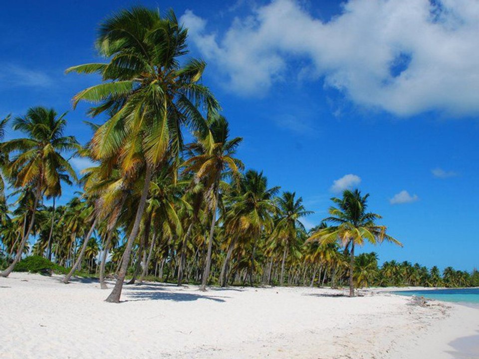 Eine Reise in die Karibik