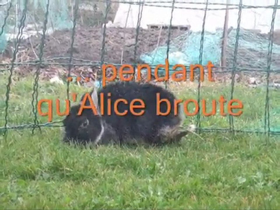 Bibi, Ti-mel et Alice le 20.03.10