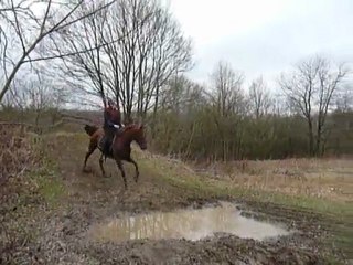 Stage "étho" ; Travail en extérieur.