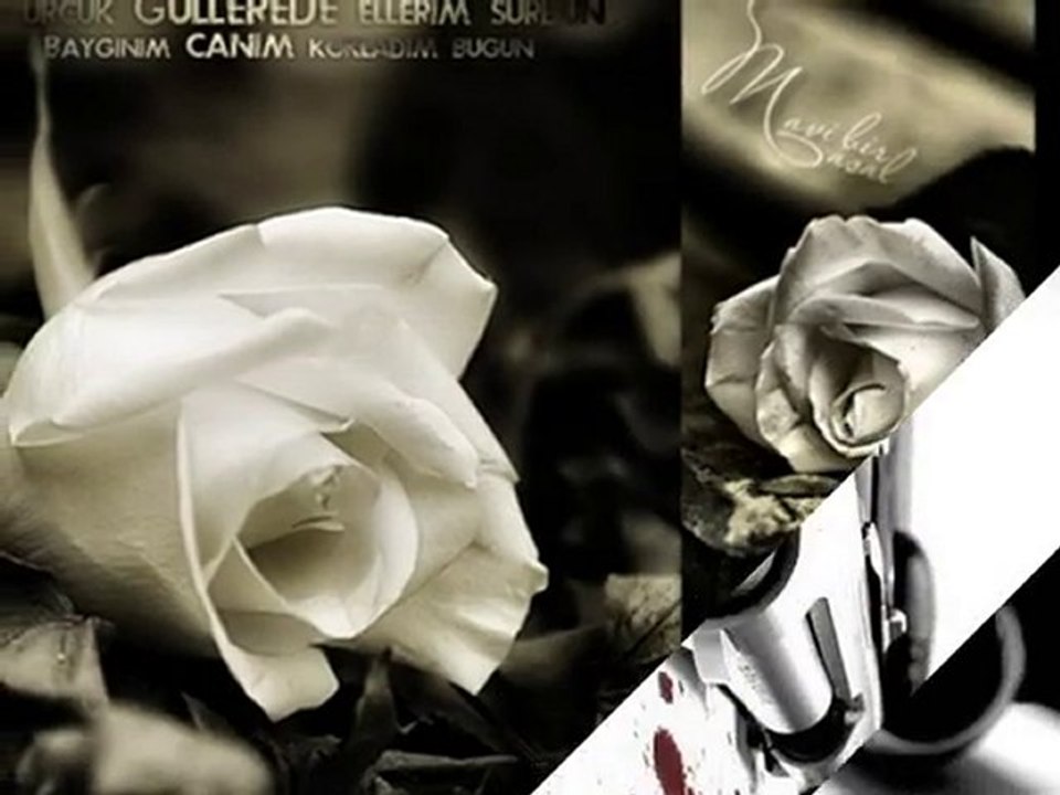 zara ekrem düzgünoğlu AŞK...