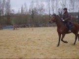 obstacle au trot