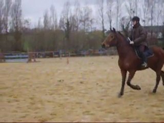 obstacle au trot