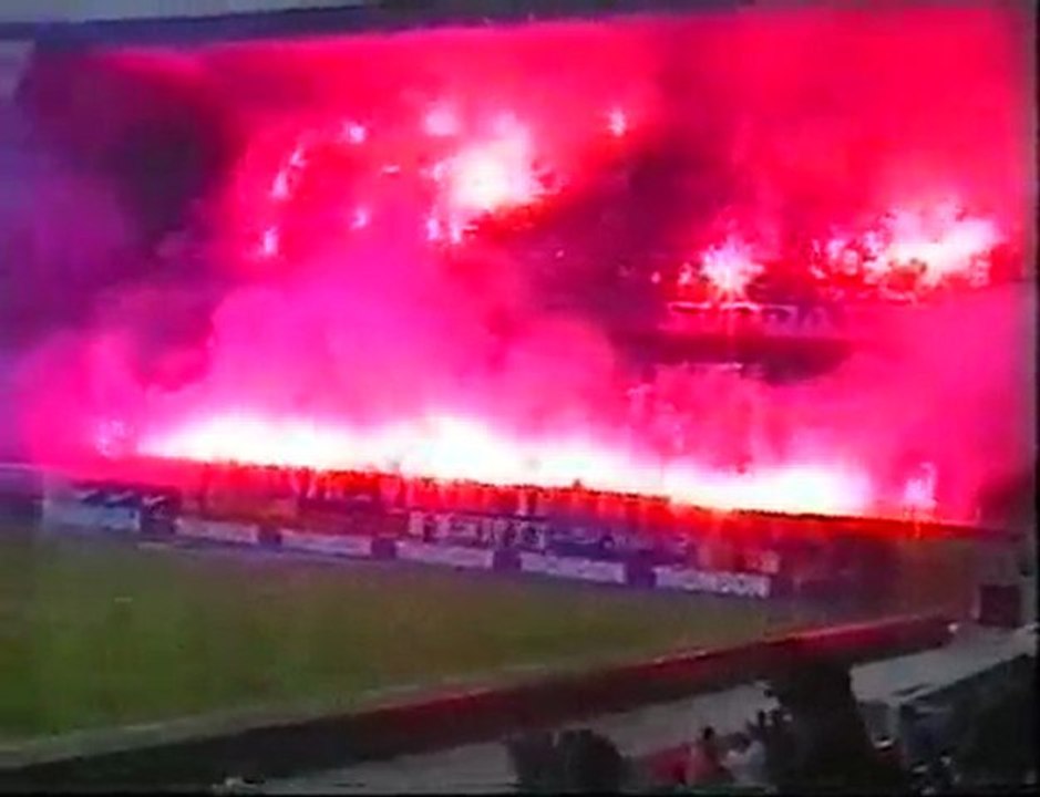 Tigris Mystic : We are tigris we are mystic