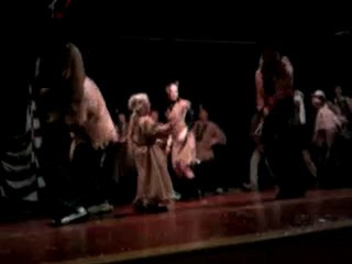 Carnaval Salleboeuf 2010