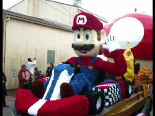 Carnaval Talmont st Hilaire