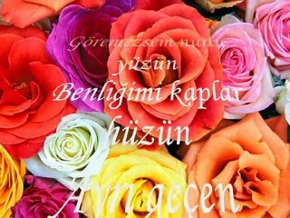 CANLI SLOV DAMAR VE ETKILEICI