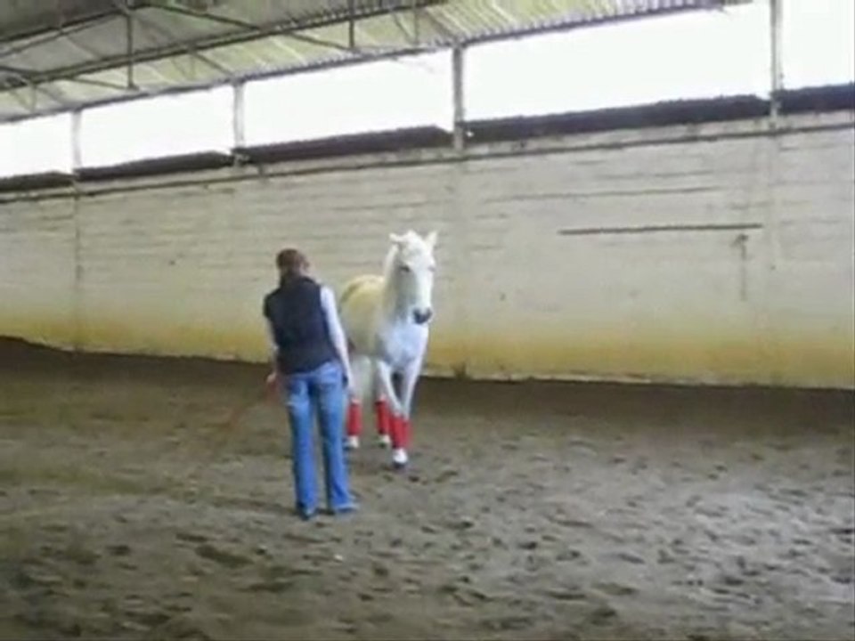 Le bétisier de Danha