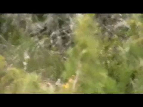 journée courre du lièvre ajc48 du 20/03/2010