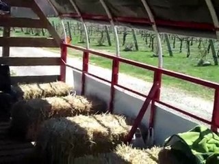 Wines of Yadkin Valley - Shore Farm's Hay Rides