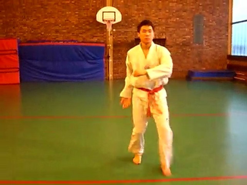 Djoson mars 2010 - Poomse solo4