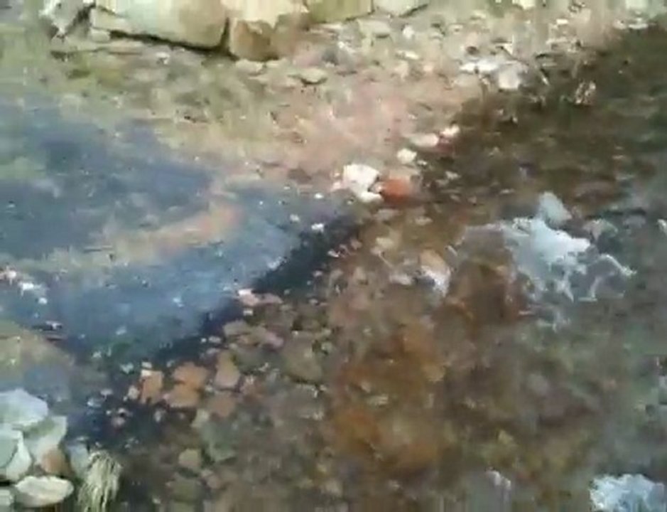 River(deneme)