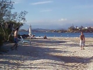 ne jamais faie chié une mouette !!