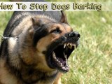 How To Stop Dogs Barking-Learn How To Stop Dogs Barking