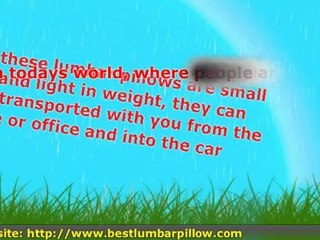 Lumbar Car Pillow