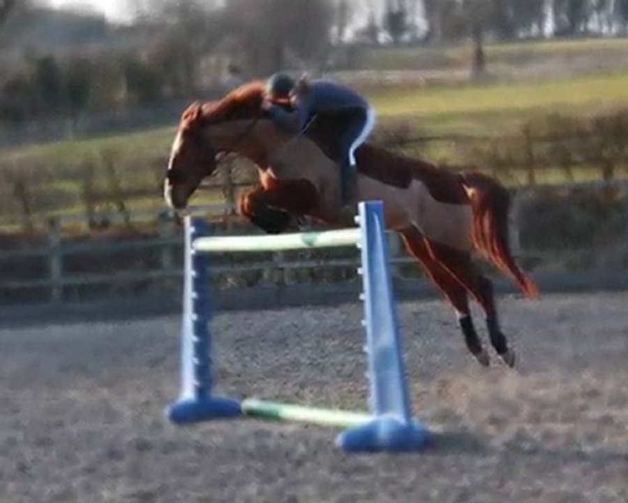 Fundador & Krak mars 2010