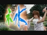 ShinkenGreen, Tani Chiaki ! - Samurai Sentai Shinkenger MV
