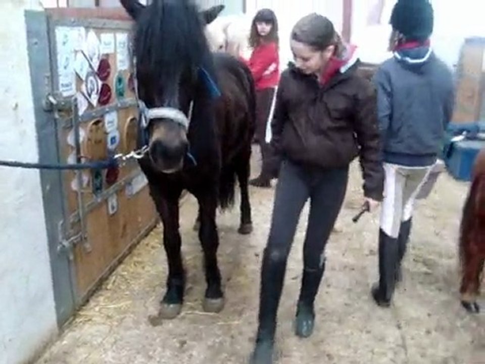 Sauw & Cornetto , Saglisse (l)