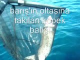 Film bucalı barış'ın oltasına takılan yavru k.balığı