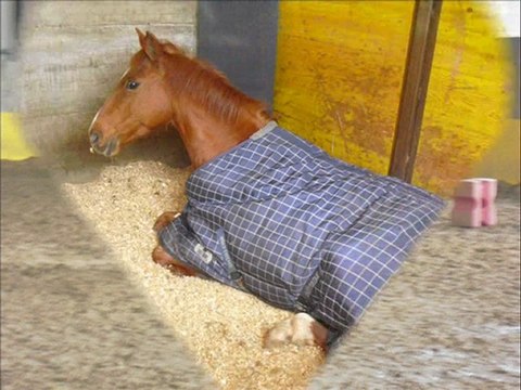 nouvo diapo samedi vec' les filles