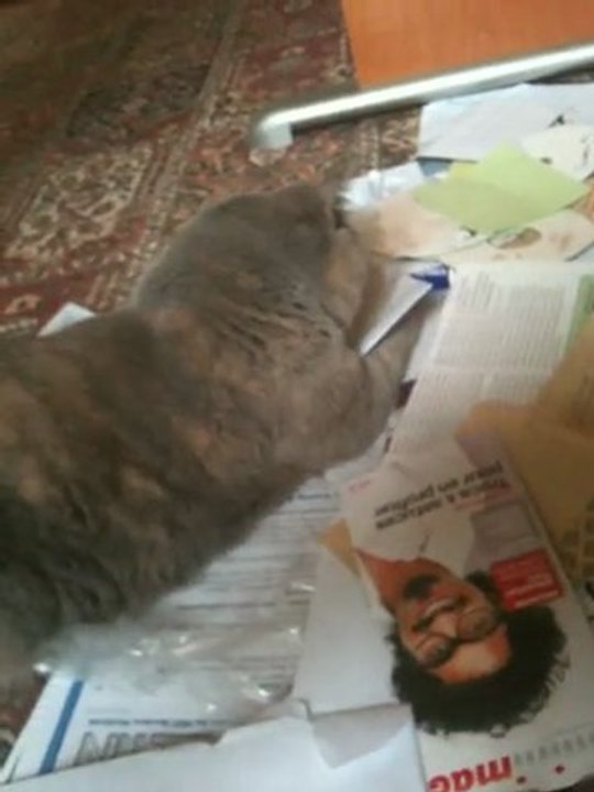 bubble et les papiers 2