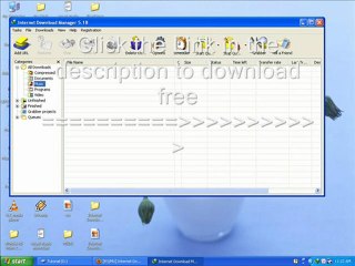 internet download manager v5.18.8 with crack