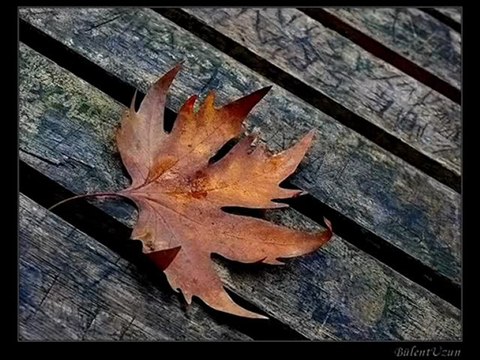 Beni Kör Kuyularda Merdivensiz Bıraktın