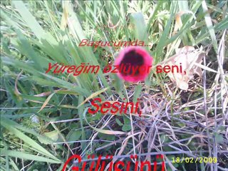 CUMALI  KÖYDEN ESİNTİLER