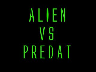 Les nouvelles cartes AVP