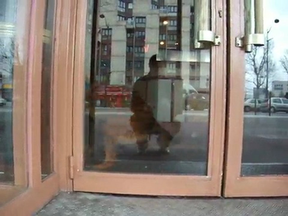 Le Chien qui ne tourne pas rond...