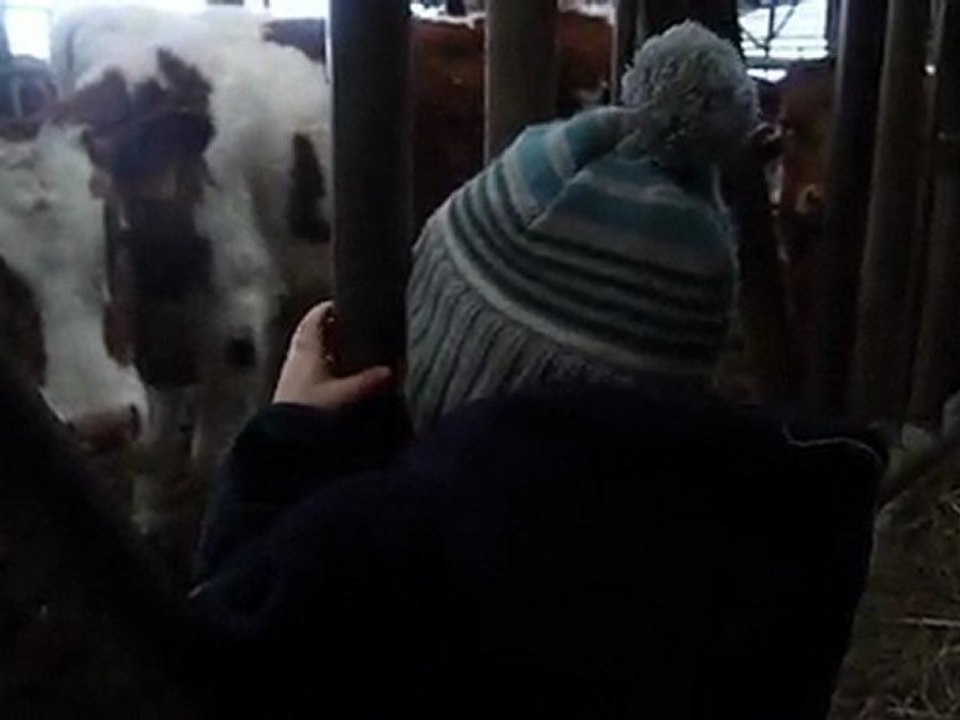 23 mars 2010 _ mon pti fermier !