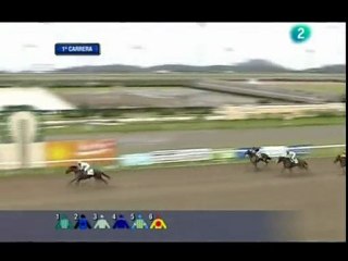 2010.03.21, n° 68 MJ (LAE (Hand 2°p) EL GUAJE