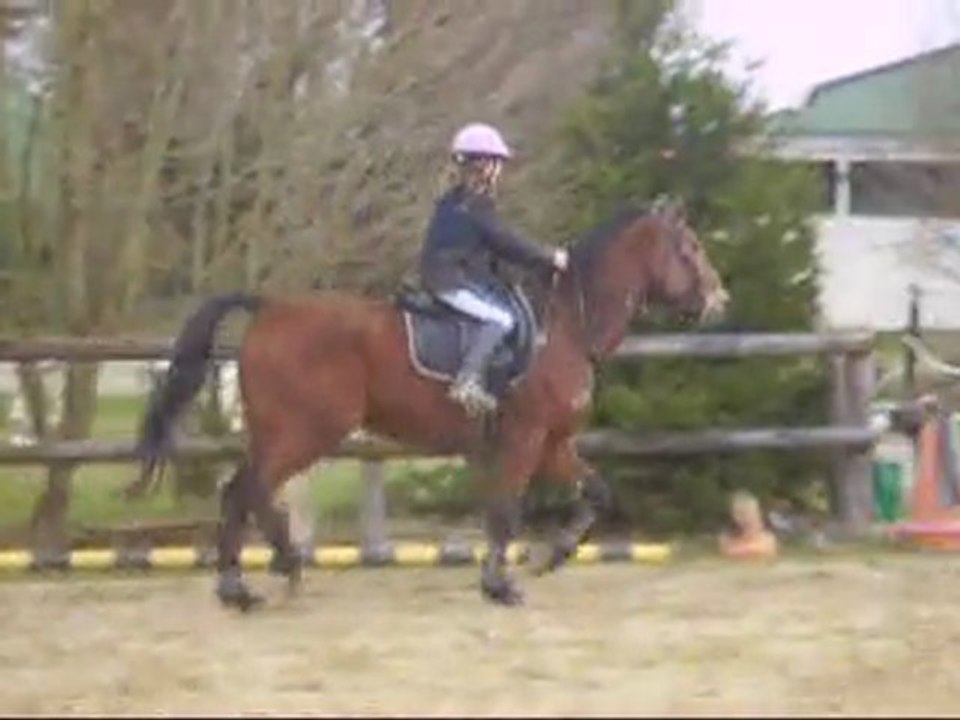 Trot et gwen