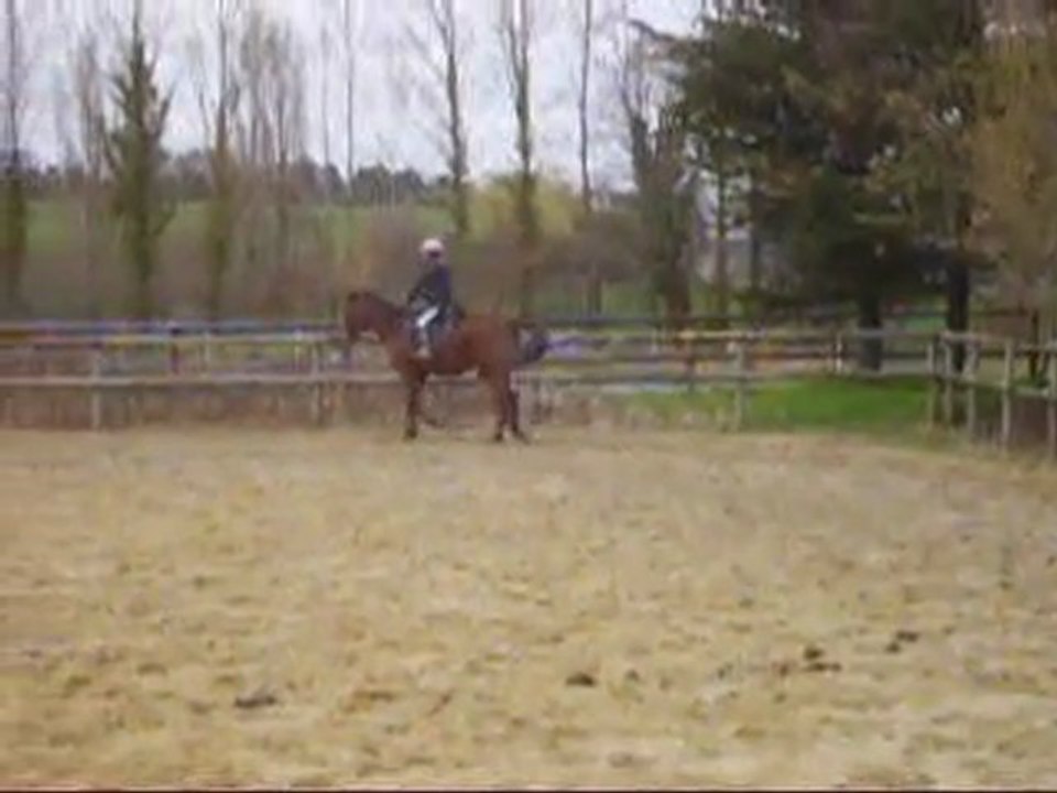 trot et diagonale