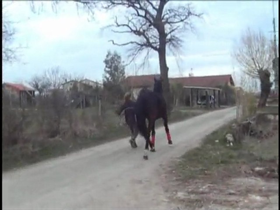 olten_trot_mars_2010_ralentit
