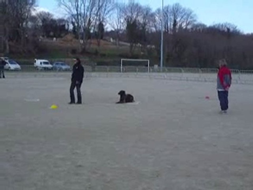 Concours Plougastel 21/03