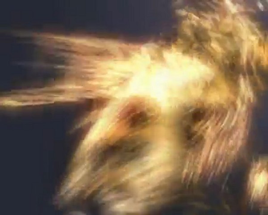 Signature Musicale pour le studio  "Tokkun Studio"