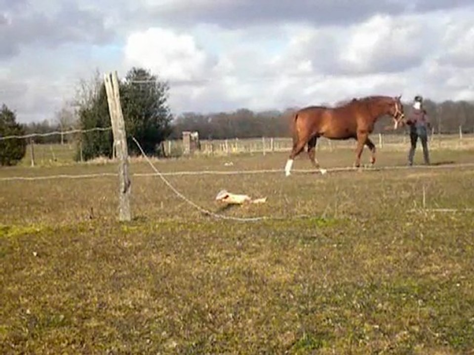 ésope ds les champs étho_0001