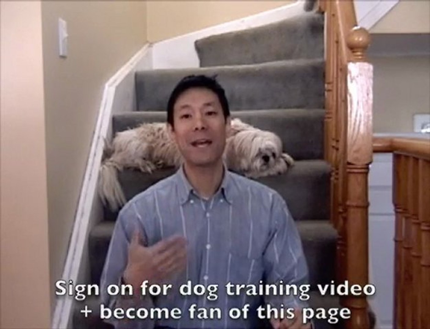 ⁣Dogs And Puppies Facebook Fan Page Video