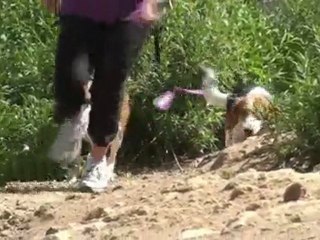 Cari Ham - 6 months post achilles tendon rupture going ...