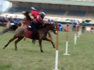 2 tasses a salon stand by