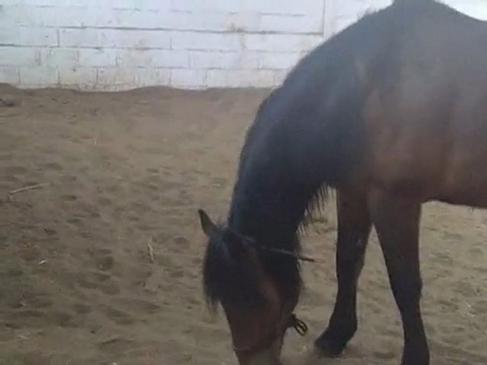 petit travail à pieds,puis délassement, jour de fare niente