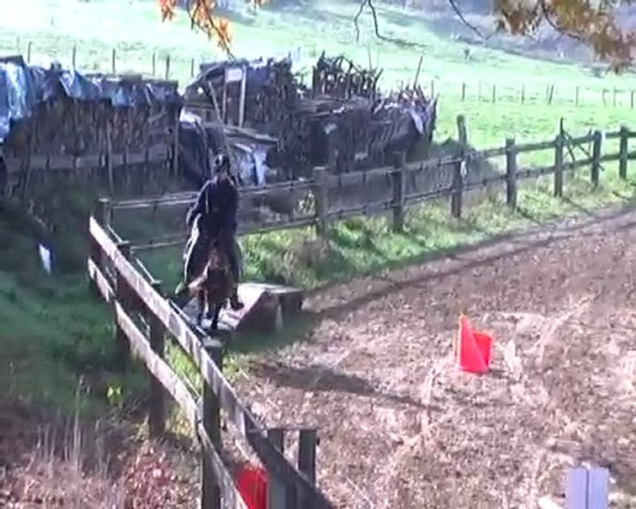 demo spectacle Zelda