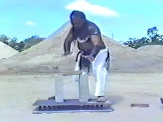 MOKO BREAKING A BRICK