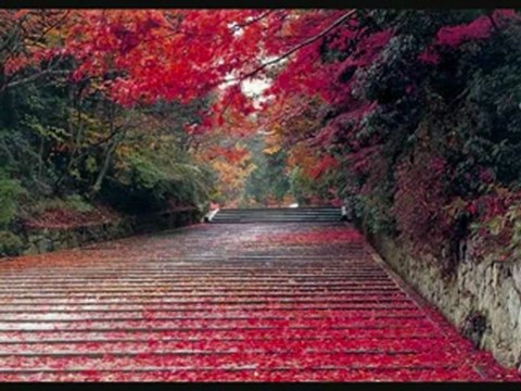 sezen aksu-sende biliyorsun